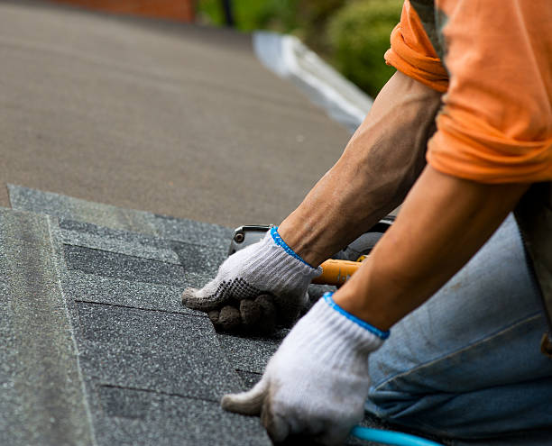 Best Gutter Installation and Roofing  in Dry Ridge, OH